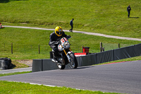 Vintage-motorcycle-club;eventdigitalimages;mallory-park;mallory-park-trackday-photographs;no-limits-trackdays;peter-wileman-photography;trackday-digital-images;trackday-photos;vmcc-festival-1000-bikes-photographs